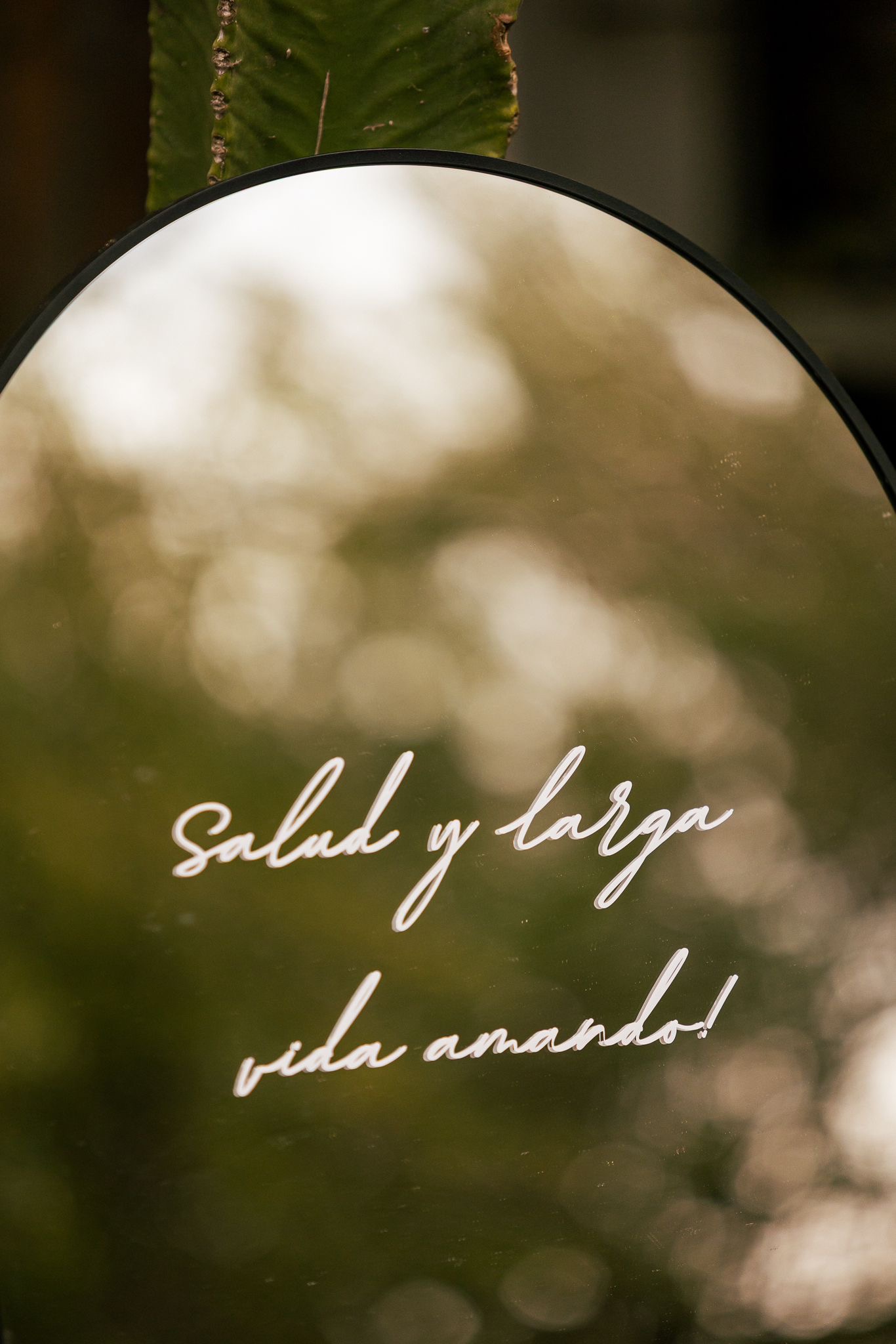 10605de8-aef1-40aa-85c0-79da05dc86cb